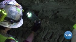 LA Subway Excavation Uncovers Cache of Fossils