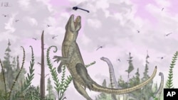 When crocodiles tried to be mammals: the Cretaceous crocodilan /Pakasuchus kapilimai/, with a complete set of mammal-like teeth hunts dragonflies on an ancient Tanzanian floodplain