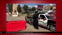 د ډیوه د روانو چارو خپرونه په ټي وي
