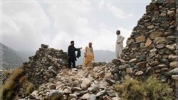 ده ها پسر پاکستانی در افغانستان ربوده شدند