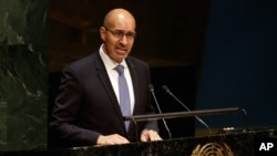 Harlem Desir, France's state secretary for European affairs, addresses the U.N. General Assembly, Jan. 22, 2015.