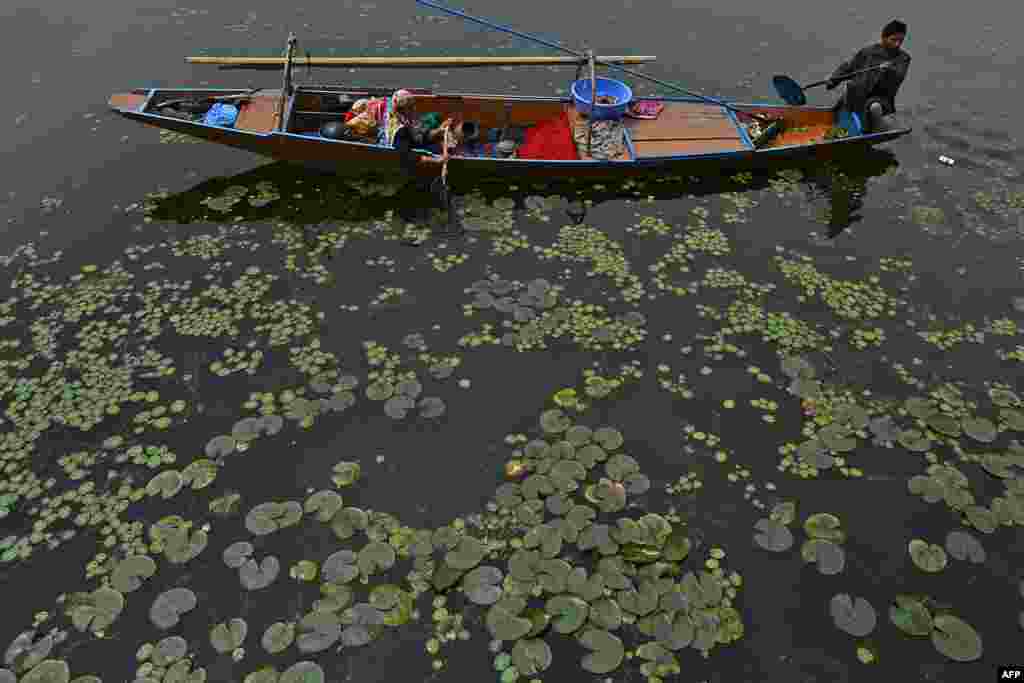 A fisherman rows a boat at Dal lake, on the outskirts of Srinagar, India.