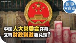 时事大家谈：中国人大常委会开幕，又有财政刺激要兑现？