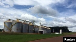 Brazil's Holambra farmer cooperative is seen, where expansion of grains storage capacity led to scrap a contract with a sugar mill for cane planting in Itajai, Sao Paulo state, Brazil, April 1, 2018. 