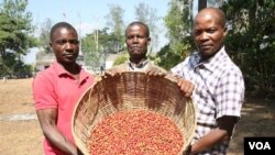 Empresarios brasileiros discutem investimentos no café do Kwanza Sul - 2:53