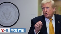 美国之音中文广播 (2026年7月11日)