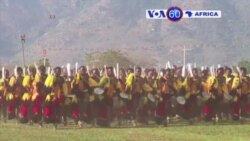 Manchetes Africanas 1 Setembro 2015