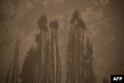 The skeletal silouhette of burnt trees are seen after a wildfire swept through an R.V. park destroying multiple homes in Estacada, Oregon, Sept. 12, 2020.