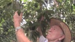 Капля за каплей - к эффективному земледелию