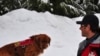 Eric Seelenfreund and his dog Murphy are part of the avalanche rescue team working for the 2010 Winter Olympics at Whistler Mountain