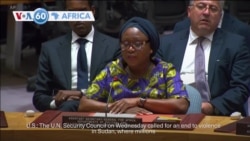 VOA60 Africa - UN Security Council calls for an end to violence in Sudan