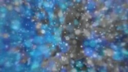 بي بي شیرینه – په ټیلې ویژن