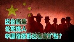 时事大家谈：处死线人，出台新法，中国情报系统秘密扩张？