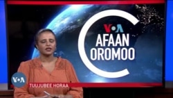 Tamsaasa Guyaadhaa Guyyaa