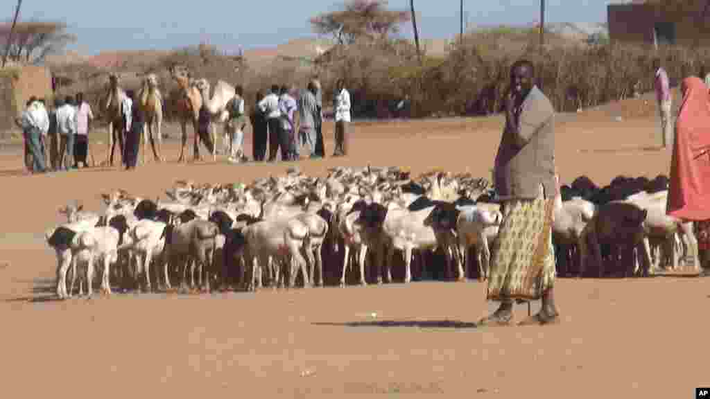 Sawirro: Magaalada Burco, Somaliland