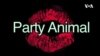 一分钟美语--Party Animal