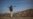 Will New Deal for Pakistan's FATA Ease Terrorism Threat?