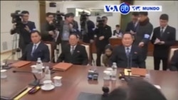 Manchetes Mundo 9 Janeiro 2018: Nevou no deserto do Saara