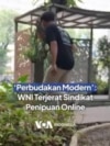 'Perbudakan Modern': WNI Terjerat Sindikat Penipuan Online