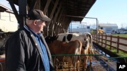 Dairy owner Darryl Vander Haak turns cow manure into 'bio-gas' which burns like natural gas in a small electric power plant right on his farm.