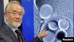 Yoshinori Ohsumi nació en 1945 en Fukuoka, Japón. Es profesor del Instituto de Tecnología de Tokio.