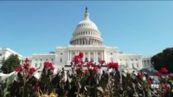 ادامه واکنش‌ها در کنگره آمریکا به ضرب‌الاجل دونالد ترامپ به جمهوری اسلامی