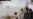 Japanese Quake Survivors Long For News