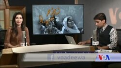 بي بي شیرینه – وي او اې ډيوه په ټیلې ویژن