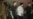 FTX Founder Bankman-Fried Allowed $250M Bond, House Arrest