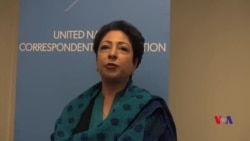 ماحولیاتی تبدیلی سے متعلق معاہدہ پاکستان کے لیے اہم ہے: ملیحہ لودھی