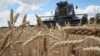 تحریمی بر کالاهای کشاورزی روسیه اعمال نمی‌شود