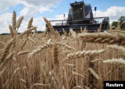 Petani memanen gandum, di tengah serangan Rusia ke Ukraina, di wilayah Donbas, Ukraina, 13 Juli 2022. (Foto: REUTERS/Gleb Garanich)