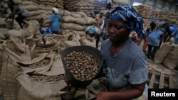 Une Femme employée dans un entrepôt de noix de cajou à Abidjan, Côte d'Ivoire, le 12 juillet 2018. REUTERS / Luc Gnago - RC1DF84D42B0