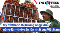 Mỹ trở thành thị trường nhập khẩu nông-lâm-thủy sản lớn nhất của Việt Nam | Truyền hình VOA 4/9/24