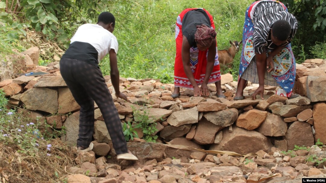 Beneficiaries of WFP's Resilent Program in Zomba, Malawi, construct blockades across rivers to help trap water runoffs during flooding.