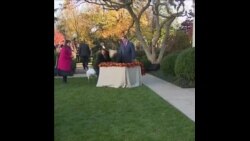 拜登总统赦免火鸡