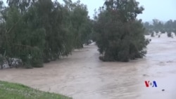 Barîna Baranên Boş Metirsîya Lehîyan li Germîyanê Zêde Dike