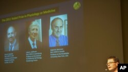 Professor Hans-Gustaf Ljunggren of Karolinska Institute announces the 2011 Nobel Physiology or Medicine laureates during a news conference in Stockholm (file photo)