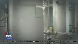 اخبار شامگاهی