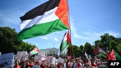 Пропалестинские демонстранты митингуют возле Белого дома в Вашингтоне в знак протеста против действий Израиля в секторе Газа, 8 июня 2024 года (Фото: Mandel NGAN/AFP).
