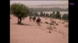 Crise de fome ameaça a vida de 1 milhão de crianças no Sahel africano