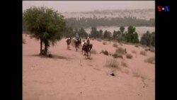 Crise de fome ameaça a vida de 1 milhão de crianças no Sahel africano