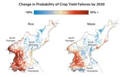 2030년까지 북한의 쌀과 옥수수 작황 실패 가능성을 분석한 지도. Map by Carl Churchill, Woodwell Climate Research Center