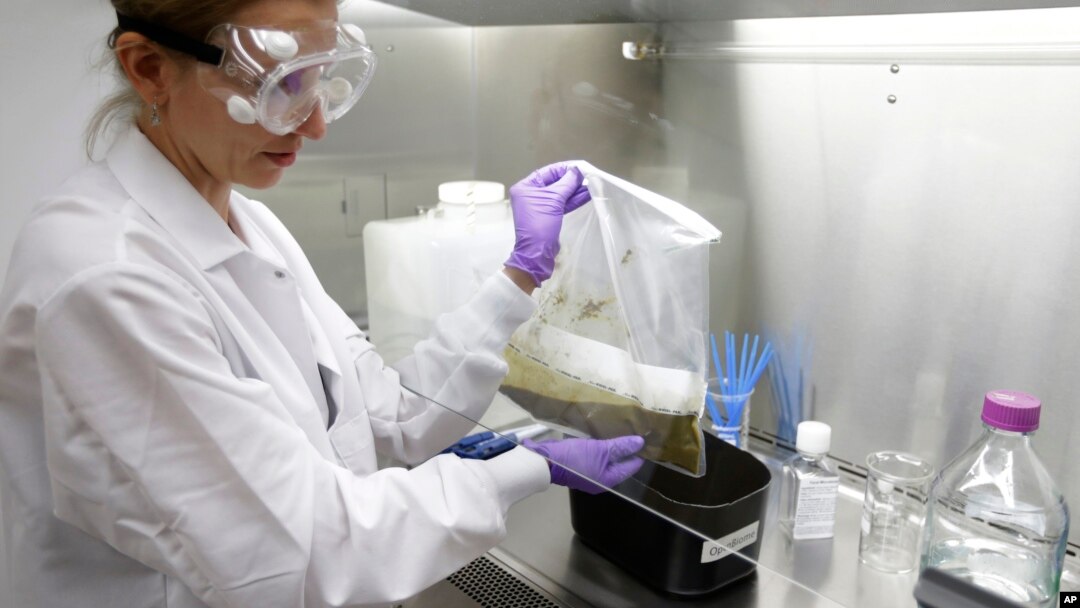 FILE -Technical assistant Eliska Didyk prepares a human fecal matter solution in an OpenBiome laboratory, in Medford, Massachusetts, June 2014.