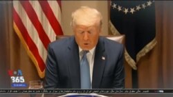 اخبار شامگاهی