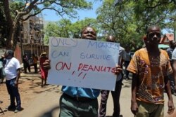 Webster Tabvemhiri is one of the demonstrators when government workers took to the streets in Harare, Zimbabwe, Nov. 6, 2019. (Columbus S. Mavhunga/VOA)