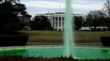 The water in the fountain on the South Lawn of the White House flows green in celebration of St. Patrick's Day in Washington, March 17 2015. 