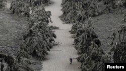 A man walks on a road blanketed with volcanic ash from the erupting Taal Volcano in Tagaytay, Philippines, January 14, 2020. 