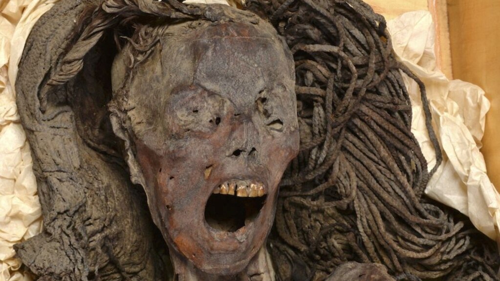 Ancient Egyptian Woman’s Suffering Frozen in Final Scream