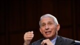 Dr. Anthony Fauci, director of the National Institute of Allergy and Infectious Diseases, testifies during a Senate Health, Education, Labor and Pensions Committee hearing on the federal coronavirus response on Capitol Hill in Washington, Thursday,…